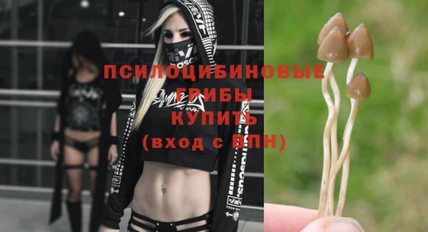 дмт Алзамай