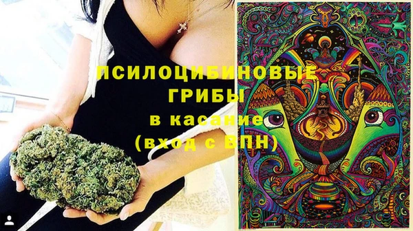 дмт Алзамай