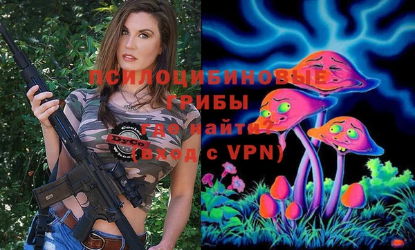 дмт Алзамай